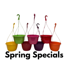 25CM PLASTIC HANGING POTS / BASKETS PLANTERS X10 - VIVID COLOURS